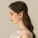Aneneiceera Pearl Gold Crystal Hair Clip Barrette - Triangle Hair Pin for Women and Girls - Buy Online on GoSupps.com