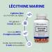 Roches Marines - Food Supplement Marine Lecithin - Memory and Concentration - Omega 3 in Phospholipid Form - 120 Capsules - Developed in France - Buy Online on GoSupps.com