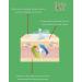 LifeSil Reusable Removal Treatment Gel Sheet for Skin Appearance - Pack of 4 Sheets (5.9x0.9 Inches) - Buy Online on GoSupps.com