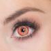 Boland Coloured Motif Contact Lenses - Non-Prescription Monthly 2 Pieces for Carnival Theme Parties & Halloween - Buy Online on GoSupps.com