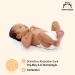 Mama Bear Disney Ultra Dry Diapers Size 3 (4-9 kg) - 86 Count - Leak Protection for Babies - Buy Online Internationally - Buy Online on GoSupps.com