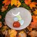 Selenite Handmade Charging Bowl - 6cm | Spiritual Energy Cleansing Plate for Meditation and Jewelry Storage - Buy Online on GoSupps.com