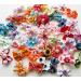 Carykon Pet Hair Bows for Yorkies - 50 Assorted Colors with Elastic Bands | Perfect for Small Dogs - Buy Online on GoSupps.com