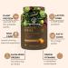 PlantFusion Complete Meal Plant Based Protein Powder 2 lb - Vegan Chocolate Caramel with Superfoods Greens & Probiotics - Buy Online on GoSupps.com