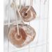 PFIFF 101744 Himalayan Salt Lick - 500g Mineral Stone for Livestock - Premium Quality - International Shipping - Buy Online on GoSupps.com