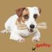 HOWLERS Premium Natural Rawhide Bones | Promoted Clean Teeth & Healthy Gums | Multiple (5 Inch -12.7 CM 10 Bones) (5" - 10 Bones) - Buy Online on GoSupps.com