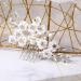 Housoutil Bridal Comb Wedding Hair Comb Hair Accessories for Girls Flower Hair Clip Wedding Ceremony Decorations Tiara White Pearl Bride Flower Head Color-preserving Copper Wire - Buy Online on GoSupps.com