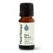 Plant Therapy Black Spruce Essential Oil 10 mL (1/3 oz) 100% Pure Undiluted Therapeutic Grade 0.34 Fl Oz (Pack of 1)