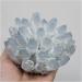 Natural Blue Phantom Quartz Crystal Cluster Rock Stones Reiki Specimen Home Deco Crystal Cluster - Buy Online on GoSupps.com
