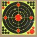 500 Flathead Diabolos 4.5mm Fritz-Cell | Premium Air Rifle & Pistol Pellets - International Shipping - Buy Online on GoSupps.com