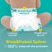 Pampers Swaddlers Size 4 Diapers 150 Count - One Month Supply | Packaging May Vary - Buy Online on GoSupps.com