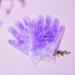 Buy Lavender Paraffin Wax Gloves for Spa & Home Use | Paraffin Baths & Waxing Care - Buy Online on GoSupps.com