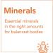Now Foods Full Spectrum Minerals - 240 Veg Capsules for Optimal Health - Buy Online on GoSupps.com