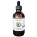 Lungwort Alcohol-Free Liquid Extract Organic Lungwort (Pulmonaria officinalis) Dried Leaf Glycerite Hawaii Pharm Natural Herbal Supplement 2 oz 2 Fl Oz (Pack of 1)