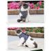 Buy Etopars Adjustable Cat Dishes & Ultra-Light Harness Vest for Kittens | International Shipping Available - Buy Online on GoSupps.com