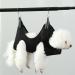 Qrity Cat Care Pocket Hammock Set - Dog & Cat Nail Cutting Dishes with S Hooks - Green - Buy Online on GoSupps.com