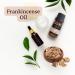MABUA Frankincense Essential Oil 100% Pure Natural Therapeutic Grade 120 ml (4 oz) - Buy Online on GoSupps.com