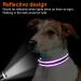 Joytale Reflective Dog Collar for Puppies - XS Purple | International Shipping Available - Buy Online on GoSupps.com