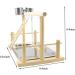 Parrots Playground Gym with Ladder Swings & Feeding Cups - For Parakeets, African Grey, Conures, Cockatiels - Cage Accessories & Toys - Buy Online on GoSupps.com