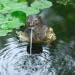 Ubbink Floating Spitter Garden Fountain Otter - Buy Online on GoSupps.com