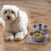 mDesign Small Square Pet Food and Water Bowl Mat - Waterproof Non-Slip Silicone Placemat for Dogs and Cats - Durable and Food Safe - Gray Linelle Collection - Buy Online on GoSupps.com