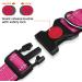 Buy Taglory Soft Padded Neoprene Dog Collar - Adjustable & Reflective Hot Pink XS for Puppies | International Shipping Available - Buy Online on GoSupps.com