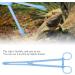 Blue Plastic Reptile Feeding Clip 24.5cm - Terrarium Tongs for Snake Lizard & Pet Raising - Buy Online on GoSupps.com