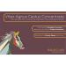 Equicure Vitex Agnus Castus 10x Concentrate 100g Refill - Horse/Pony Supplement - Buy Online on GoSupps.com