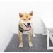 Ezoon Professional Dog Surgery Recovery Suit Soft Elastic Medical Surgical Clothes Protector Dog Cat Puppy Post-operative Vest Pet After Surgery Wear Green XL - Buy Online on GoSupps.com
