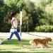 Hands Free Retractable Dog Leash 5ft-8ft with Dual Bungees for Puppy Small & Medium Dogs 110Ibs Adjustable Waist Belt 27"-47" Reflective Stitching Leash for Running Walking Hiking - Buy Online on GoSupps.com