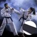KRISMYA Black Karate Belt - 280 CM Solid Rank Martial Arts Belt for Taekwondo, Judo, and Karate - Buy Online on GoSupps.com