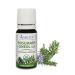 Organic Rosemary Cineol 1.8 Essential Oil 100% Pure Undiluted Rosemarinus officinalis Therapeutic Grade Premium Quality Aromatherapy Oil Tested & Verified 60ML Rosemary 2 Fl Oz (Pack of 1)
