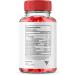 Slim DNA Keto Plus ACV Gummies - 500 MG Shark Tank Weight Loss Supplement with Apple Cider Vinegar, Beetroot, and Vitamin B12 (3 Pack) - Buy Online on GoSupps.com
