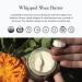 evanhealy Whipped Neroli Frankincense Body Butter | Organic Shea with Silky Plant Oils to Soften & Moisturize All Skin | For Face and Body - Buy Online on GoSupps.com