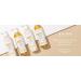 Buy T-LAB Organics Organic Ginger Anti Hair Loss Shampoo & Conditioner Set - 2x8.45oz | Best International Shipping - Buy Online on GoSupps.com
