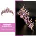 Lurrose Vintage Baroque Queen Crown | Purple Violet Crystal Tiara | Rhinestone Wedding & Gothic Headpiece for Women & Girls - Buy Online on GoSupps.com