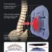 Medical Lumbar Spine Traction | Relief for Fatigue & Postpartum Corsets | International Shipping - Buy Online on GoSupps.com
