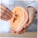 FRCOLOR Artificial Ear Model - Realistic Silicone Fake Ear Props for Pranks Jewelry & Acupuncture - International Shipping Available - Buy Online on GoSupps.com