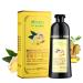 Ginger Lot de 2 shampoings Herbal Natural Fast Blacking Gray Hair Dye Black Shampooing Dye for Hair Coloring Anti-Hair Loss Hair Care Natural Black Hair Shampooing (Noir)