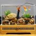 Dongker Mini Aquarium Heater 5W - USB 5V 2A Thermostat for 0.5-2L Fresh & Saltwater - 28 C Constant Temperature - Buy Online on GoSupps.com
