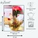 Heart Choice Tea Blumen Gift Set with Jug | 6 Tea Blums Teapot & Gift Box | Perfect Blooming Green Tea Set for Tea Lovers - Buy Online on GoSupps.com
