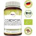Mycovital Bio Cordyceps Mushroom Powder Capsules | 93 Pieces | 750 mg | 100% Organic & Vegan | Pure Chinese Caterpillar Mushroom Supplement - Buy Online on GoSupps.com