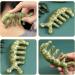 Healeved Jade Massage Comb - Premium Acupuncture Body & Scalp Massager Tool | Handcrafted Jade Beauty Product - Buy Online on GoSupps.com