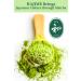 BJDesign Matcha Latte Powder: Authentic Japanese Sweetened Matcha Green Tea - Non GMO, Vegan, Gluten Free - 5.3 oz - Buy Online on GoSupps.com