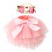 HOOLCHEAN Baby Girls Soft Tutu Skirt and Flower Headband Sets with Diaper Cover 6-12 Months Light Pink