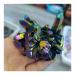 Crystal Natural Colorful Crystal Cluster Seven Rainbows Electroplating Crystal Stone Home Craft Decorations Can be Used for JIZTGEDM (Size : 100-150g)
