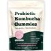 FORTIRISE Probiotic Kombucha Gummy - Prebiotics + Probiotics + Postbiotics | Contains MCT Oil elm bark Dandelion Root and Fiber | Promotes Gut Health | 60 Capsules