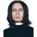 ALLAURA - Dark Professor Severus Wizard Costume Wig Long Black Mens Wigs Michael Vincent Jackson Vega For Adults - One Size Dark Professor Wizard Wig - Buy Online on GoSupps.com