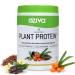 Superfood Plant Protein Powder | 500 Gm |(20g of Complete Protein Powder with Essential Vitamins & Minerals) for Boosting Immunity Energy & Better Digestion Coco Vanilla (1.1 lb) 1.1 Pound