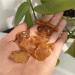 Lots of Natural Amber Stones and Crystals raw Gemstone Small Size Full of Texture - Buy Online on GoSupps.com